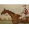 English engraving of the racehorse ‘Fille de l’air’ by Moinat SA – Antiques and decorative items – Engravings, lithographs