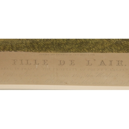 English engraving of the racehorse ‘Fille de l’air’ by Moinat SA – Antiques and decorative items – Engravings, lithographs