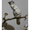 Arbre en bronze avec 8 perroquets en porcelaine