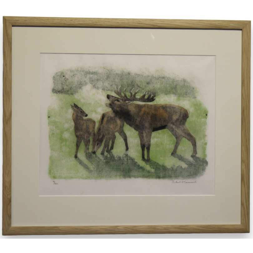 Engraving entitled ‘Bellowing Stag’, signed by Robert HAINARD, on Moinat SA – Antiques and decorative items – Engravings, lithog