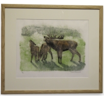 Gravure "Cerf brâmant" signée Robert HAINARD