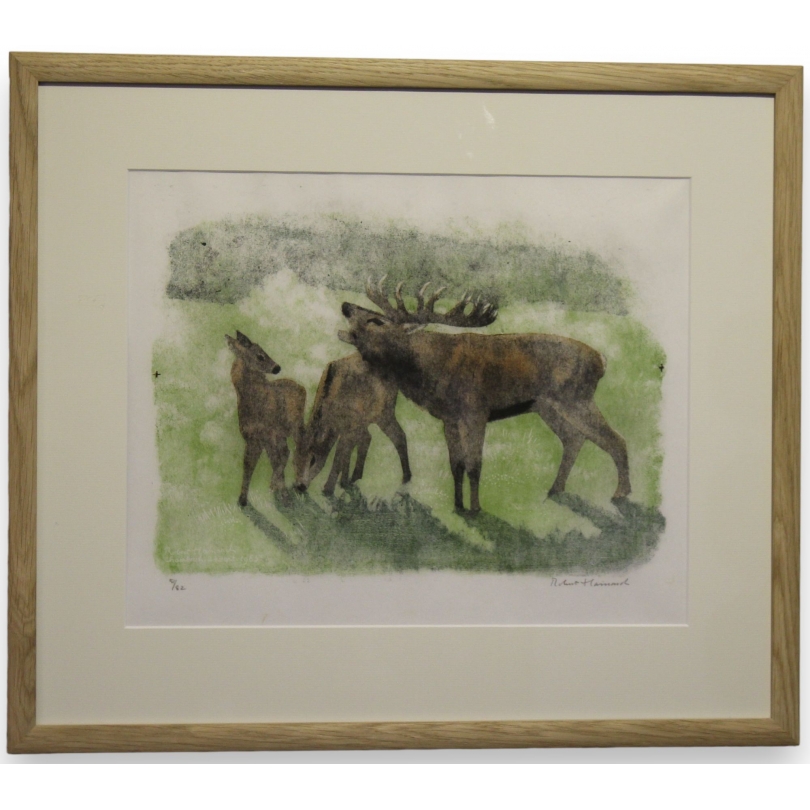 Gravure "Cerf brâmant" signée Robert HAINARD