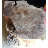 Natural wood block at  Moinat SA  - Antiques and home décor