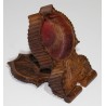 Carved wooden watch box from Brienz, by Moinat SA – Antiques and home décor