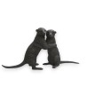 Couple de suricates en bronze