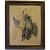 Paire de lithographies "Oiseaux" en relief  sur Moinat SA  - Antiquités décoration -  Gravures, Lithos