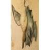 Paire de lithographies "Oiseaux" en relief  sur Moinat SA  - Antiquités décoration -  Gravures, Lithos