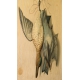 Paire de lithographies "Oiseaux" en relief