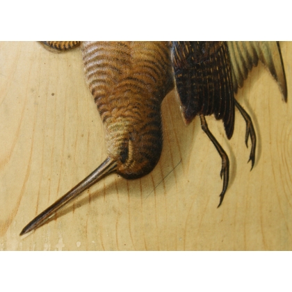 Paire de lithographies "Oiseaux" en relief  sur Moinat SA  - Antiquités décoration -  Gravures, Lithos