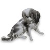 Chien Cavalier pékinois en porcelaine