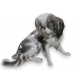 Chien Cavalier pékinois en porcelaine