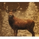 Coussin "Cerf dans la neige"