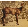 "Deer in the Snow" cushion at Moinat SA – Antiques and home décor