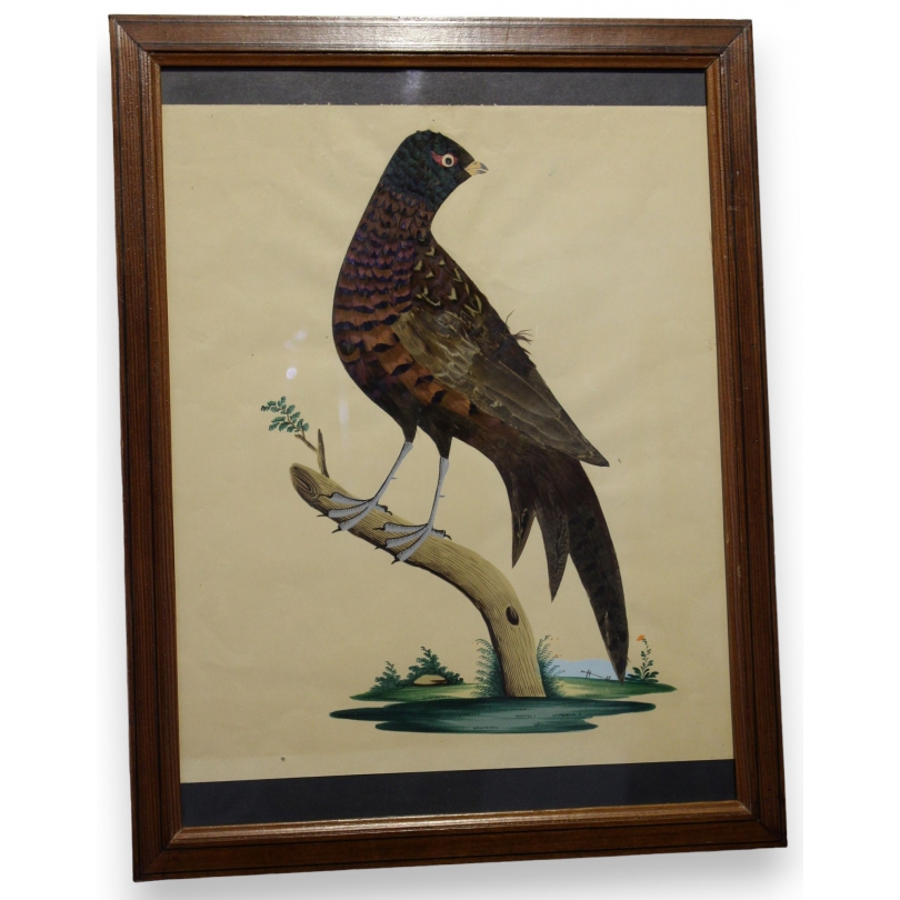  Tableau faisan réalisés avec des plumes sur  Moinat SA  - Antiquités décoration