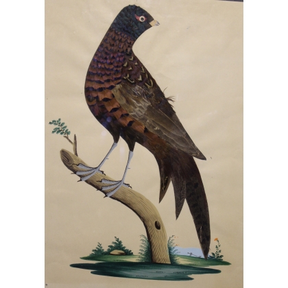  Tableau faisan réalisés avec des plumes sur  Moinat SA  - Antiquités décoration
