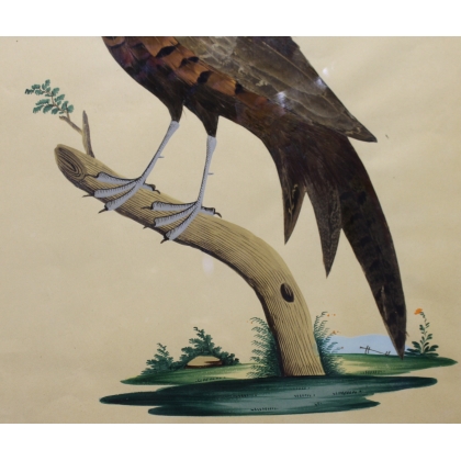  Tableau faisan réalisés avec des plumes sur  Moinat SA  - Antiquités décoration