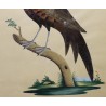  Tableau faisan réalisés avec des plumes sur  Moinat SA  - Antiquités décoration