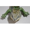 Lézard en faïence