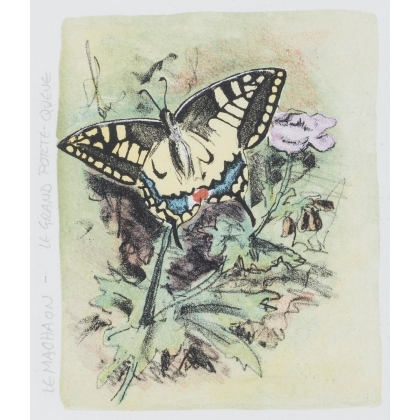 Lithographie "Les papillons" signée COSANDEY