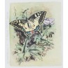 Lithographie "Les papillons" signée COSANDEY