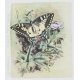 Lithographie "Les papillons" signée COSANDEY