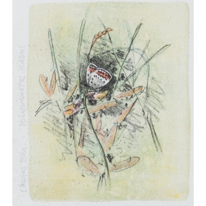 Lithographie "Les papillons" signée COSANDEY