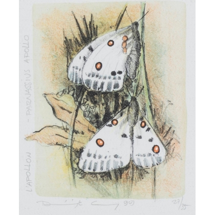 Lithographie "Les papillons" signée COSANDEY