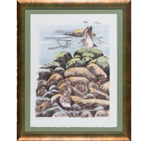 Lithographie "Bécasseaux" signée COSANDEY