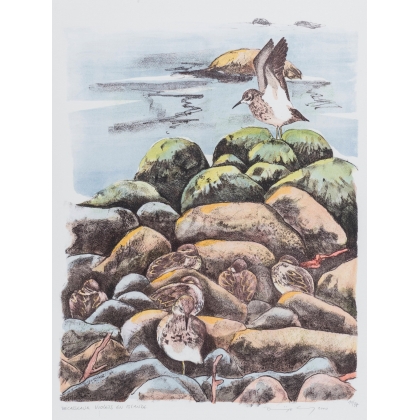 Lithographie "Bécasseaux" signée COSANDEY