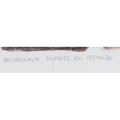 Lithographie "Bécasseaux" signée COSANDEY