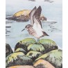 Lithographie "Bécasseaux" signée COSANDEY