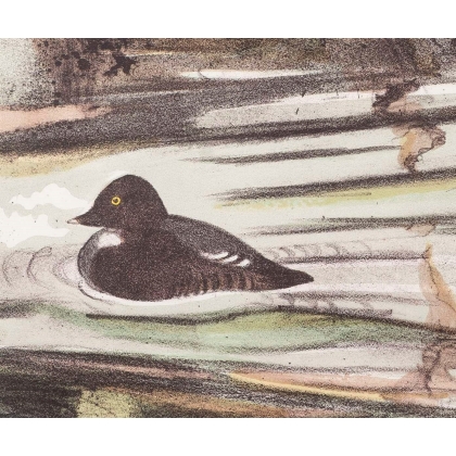 Lithographie "Atterrissage" signée COSANDEY