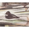 Lithographie "Atterrissage" signée COSANDEY
