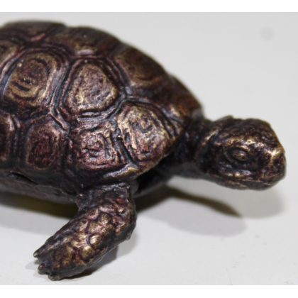 Petite Tortue en bronze