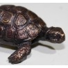 Petite Tortue en bronze