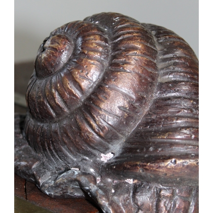 Bronze snail