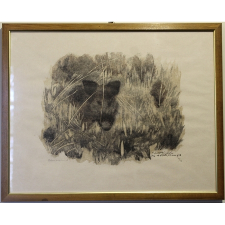 Gravure "Apparition de sanglier" signée HAINARD