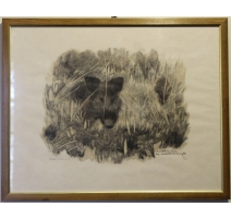 Gravure "Apparition de sanglier" signée HAINARD