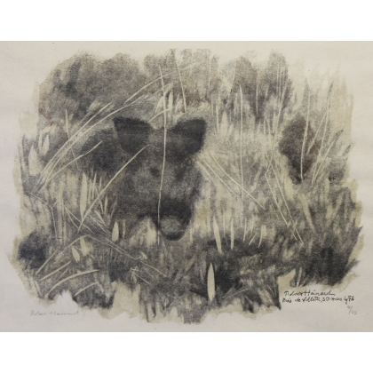Gravure "Apparition de sanglier" signée HAINARD