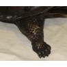 Grande tortue en bronze patine brune