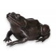 Grande grenouille en bronze patine brune