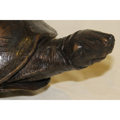Grande tortue en bronze patine brune