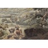 Engraving: ‘View of Mont Blanc from St-Martin’