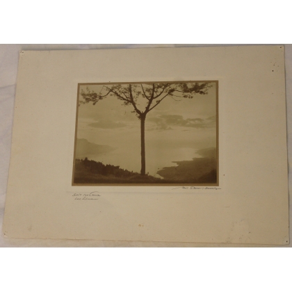 Photographie "Soir sur Caux" signée STEINER