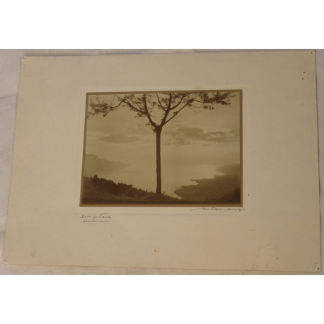 Photographie "Soir sur Caux" signée STEINER