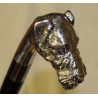 Walking stick with a silver Terrier knob