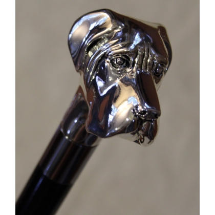 Walking stick with a silver Labrador knob