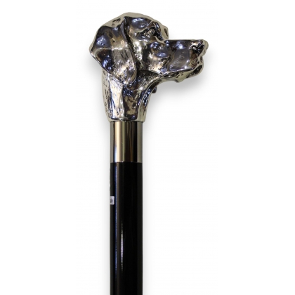 Walking stick with silver Setter-style knob