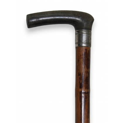 "Fishing rod" system rod