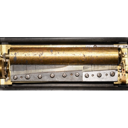 Expressive Tremolo Cylinder Music Box